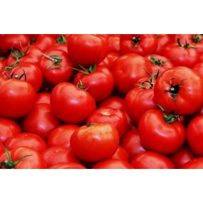 Paradicsom Determinált