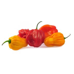 Chili paprikák