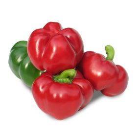 Pritamin paprika palánta